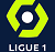 Logo of France Ligue 1